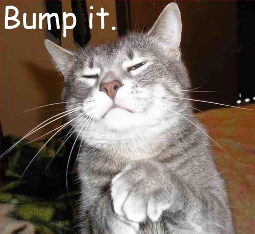 [Image: bump-it-cat.jpg]