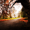 http://i93.photobucket.com/albums/l72/thegypsypoet/glimglamoury/autumn/eiluned-autumnset01.png