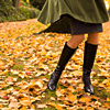 http://i93.photobucket.com/albums/l72/thegypsypoet/glimglamoury/autumn/eiluned-autumnset09.png