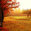 http://i93.photobucket.com/albums/l72/thegypsypoet/glimglamoury/autumn/eiluned-autumnset31.png