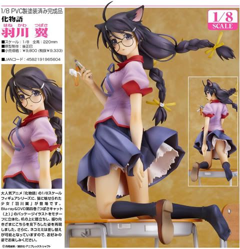 Tsubasa Hanekawa