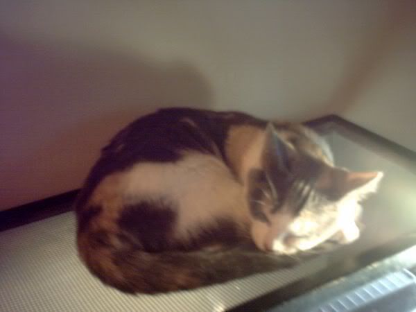 PICS of Family Pet(s)