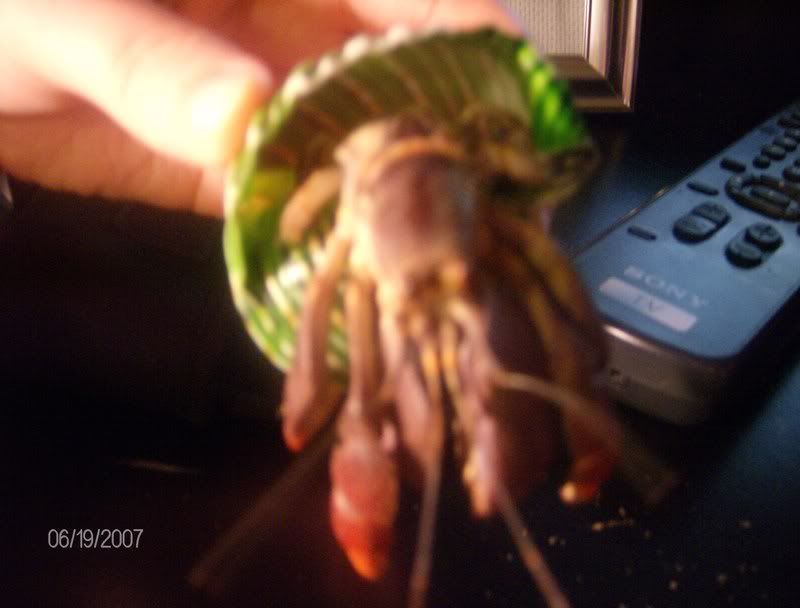 PICS of Family Pet(s)