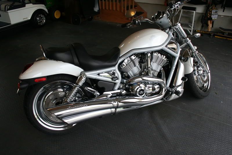 v rod 100th anniversary edition for sale