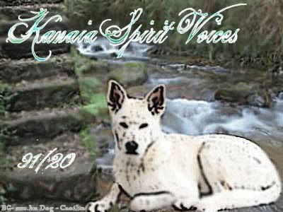 Kanaia Spirit Voices