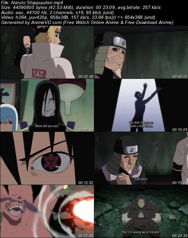 NarutoShippuuden_zps6d9104fb.jpeg