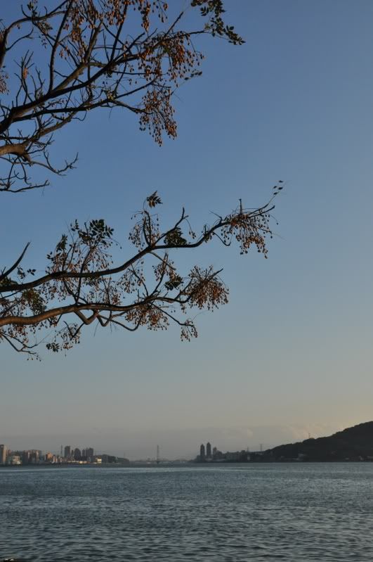 圖檔