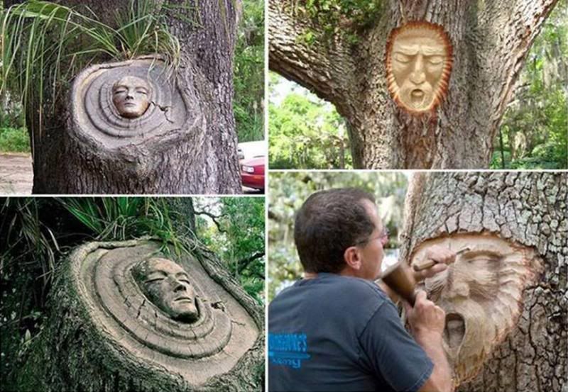 treecarving.jpg