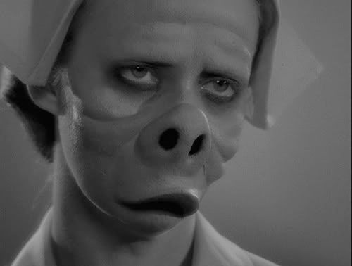 Twilight Zone Pigs