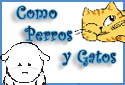 Comédia-Drama-Romance/PG-13