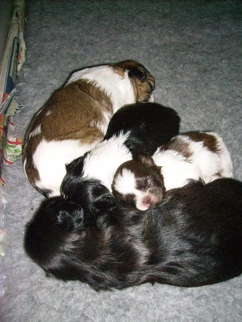 PICT1121.jpg