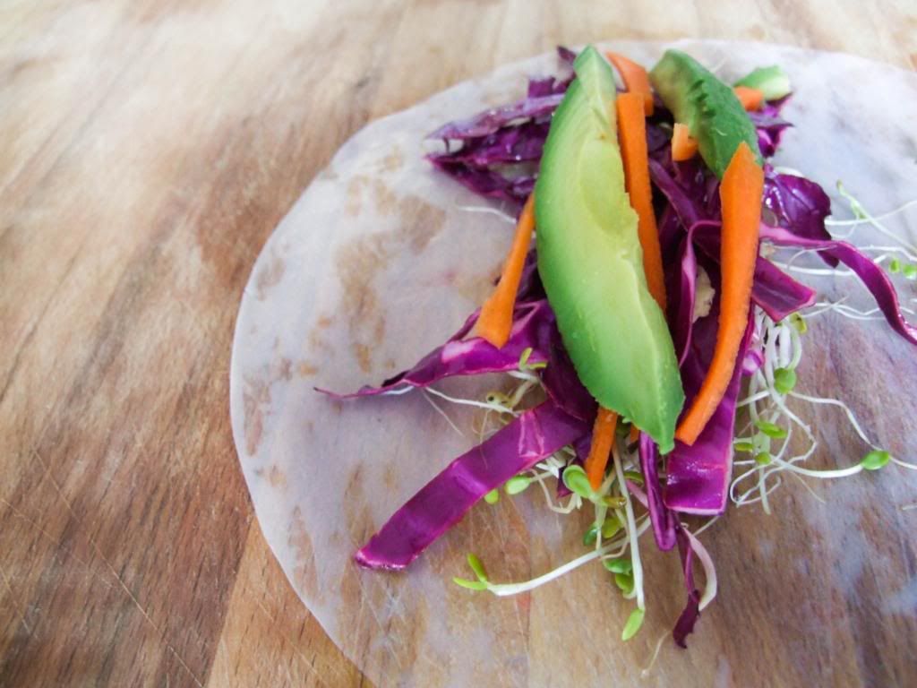 Cabbage, Carrot, and Avocado Spring Rolls