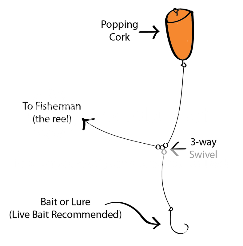 Corpusfishing.com :: View topic - Can anybody tell me HOW TO cast a ...