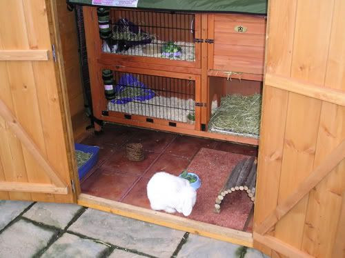 shedcloseup.jpg
