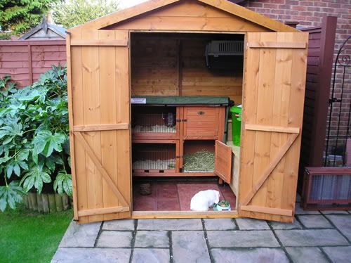 shedfrontview.jpg