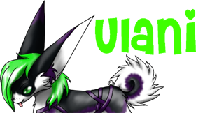 User Image