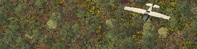 animation.gif