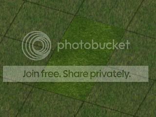 grassX1.jpg