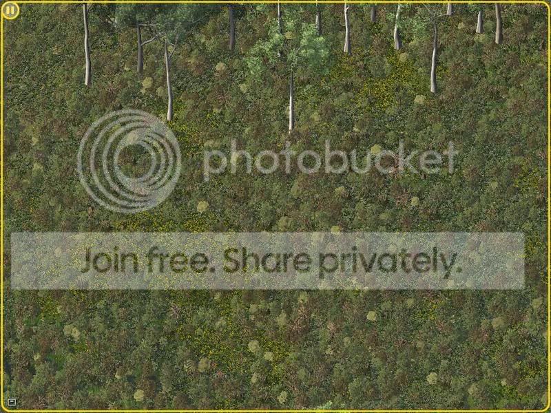 teaser.jpg