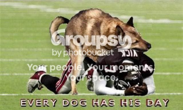 dogvick.jpg
